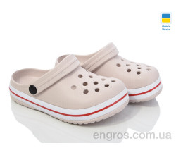 Кроксы Golden Lion